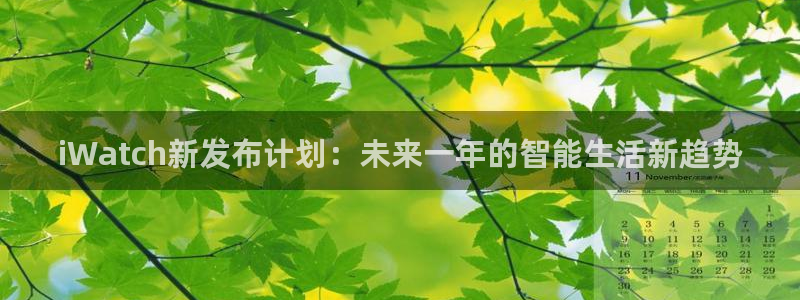 永利皇官vk：iWatch新发布计划：未来一年的智能生活新趋势
