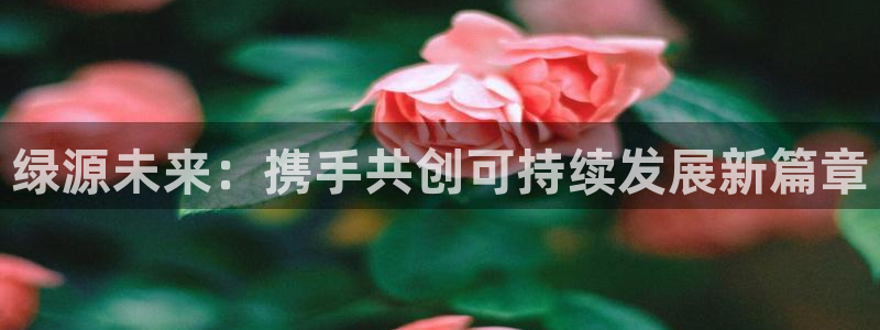 永利皇官vk：绿源未来：携手共创可持续发展新篇章