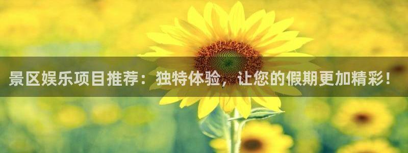 永利皇官2平台登录：景区娱乐项目推荐：独特体验，让您的假期更加精彩！