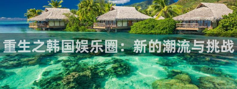 成都永利皇官电子有限公司：重生之韩国娱乐圈：新的潮流与挑战