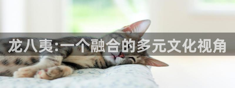 永利皇官2体育：龙八夷:一个融合的多元文化视角
