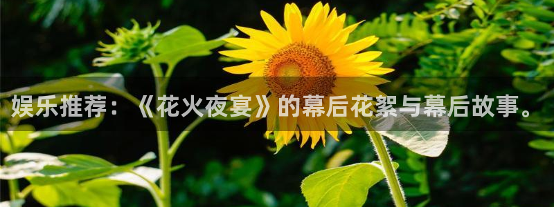 永利皇官体育：娱乐推荐：《花火夜宴》的幕后花絮与幕后故事。