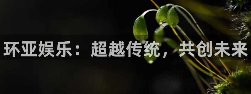 永利皇官包怎么样：环亚娱乐：超越传统，共创未来