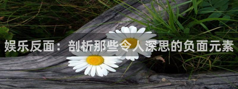 永利皇官体育合法嘛：娱乐反面：剖析那些令人深思的负面元素