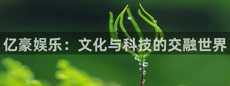 永利皇官3登陆：亿豪娱乐：文化与科技的交融世界