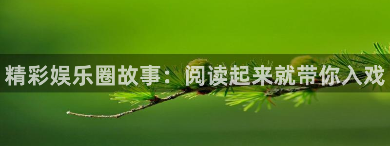 永利皇官5注册：精彩娱乐圈故事：阅读起来就带你入戏