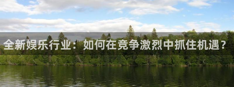 永利皇官3官网登录：全新娱乐行业：如何在竞争激烈中抓住机遇？