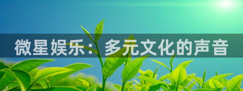 永利皇官体育注册代理：微星娱乐：多元文化的声音