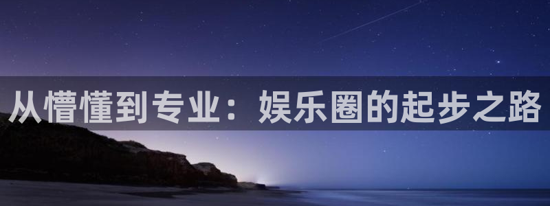 永利皇官体育和杏耀是哪个公司的：从懵懂到专业：娱乐圈的起步之路