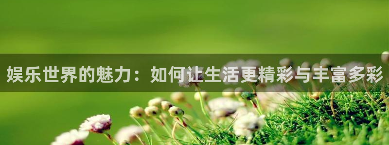 永利皇官登录界面入口：娱乐世界的魅力：如何让生活更精彩与丰富多彩