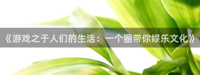 永利皇官登录注册：《游戏之于人们的生活：一个圈带你娱乐文化》