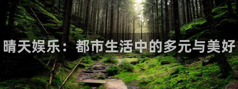永利皇官2平台：晴天娱乐：都市生活中的多元与美好