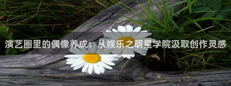永利皇官3平台登录注册：演艺圈里的偶像养成：从娱乐之明星学院汲取创作灵感