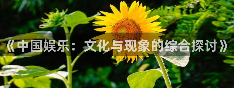 永利皇官体育4：《中国娱乐：文化与现象的综合探讨》