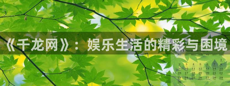 永利皇官f平台注册：《千龙网》：娱乐生活的精彩与困境