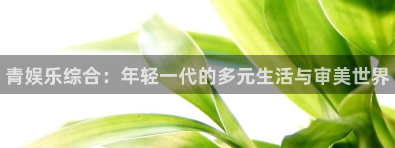 永利皇官平台官网：青娱乐综合：年轻一代的多元生活与审美世界
