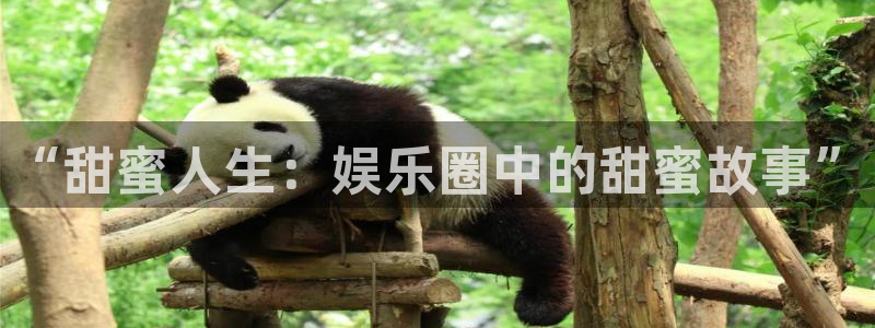 永利皇官体育平台总代理：“甜蜜人生：娱乐圈中的甜蜜故事”