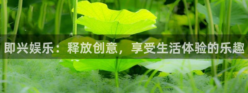 永利皇官体育凯捷登陆：即兴娱乐：释放创意，享受生活体验的乐趣