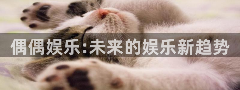 永利皇官5：偶偶娱乐:未来的娱乐新趋势