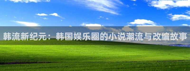 永利皇官4开户：韩流新纪元：韩国娱乐圈的小说潮流与改编故事