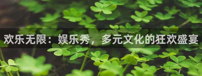 永利皇官体育平台总代理：欢乐无限：娱乐秀，多元文化的狂欢盛宴
