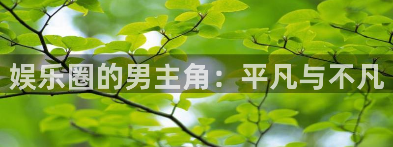永利皇官体育3在线注册：娱乐圈的男主角：平凡与不凡