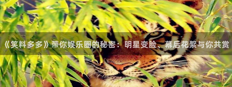 永利皇官体育在线注册：《笑料多多》带你娱乐圈的秘密：明星变脸、幕后花絮与你共赏