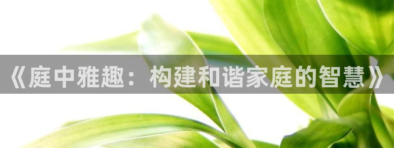 永利皇官体育凯捷登陆：《庭中雅趣：构建和谐家庭的智慧》