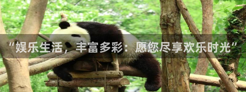 佛山市南海永利皇官机电仪器有限公司：“娱乐生活，丰富多彩：愿您尽享欢乐时光”