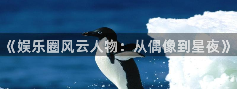 永利皇官体育网页版入口：《娱乐圈风云人物：从偶像到星夜》