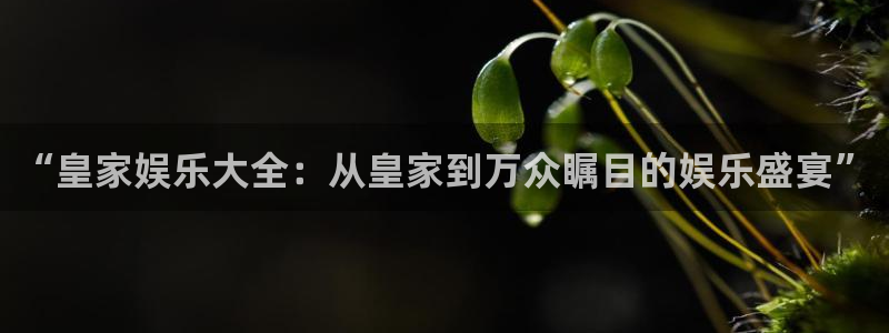 永利皇官体育注册平台：“皇家娱乐大全：从皇家到万众瞩目的娱乐盛宴”